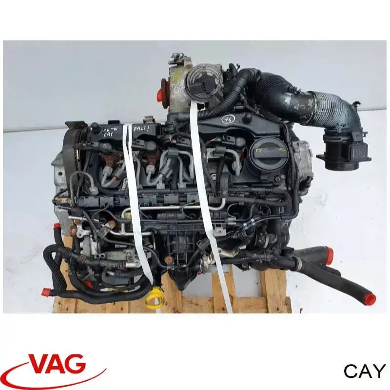 CAY VAG motor montado