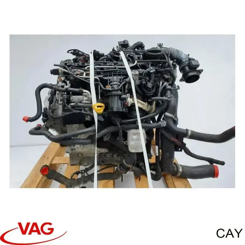 Купить CAY VAG Двигатель голый