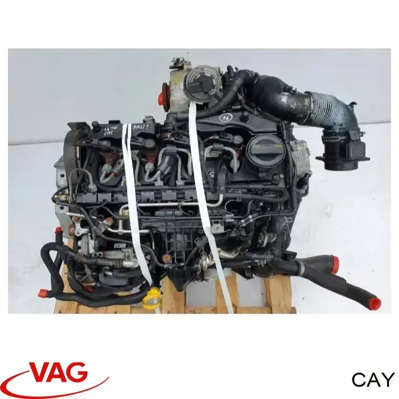 Двигатель CAY VAG