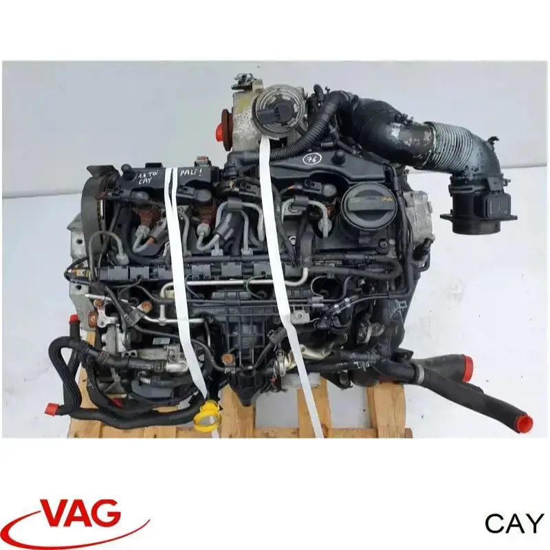 CAY VAG Мотор в сборе