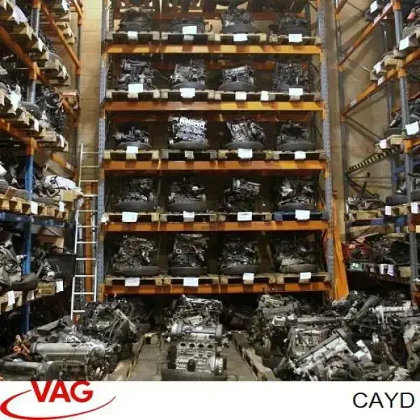 Купить CAYD VAG Двигатель голый