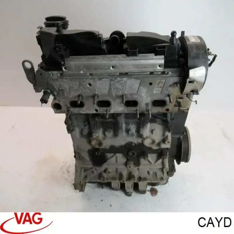 CAYD VAG Мотор в сборе