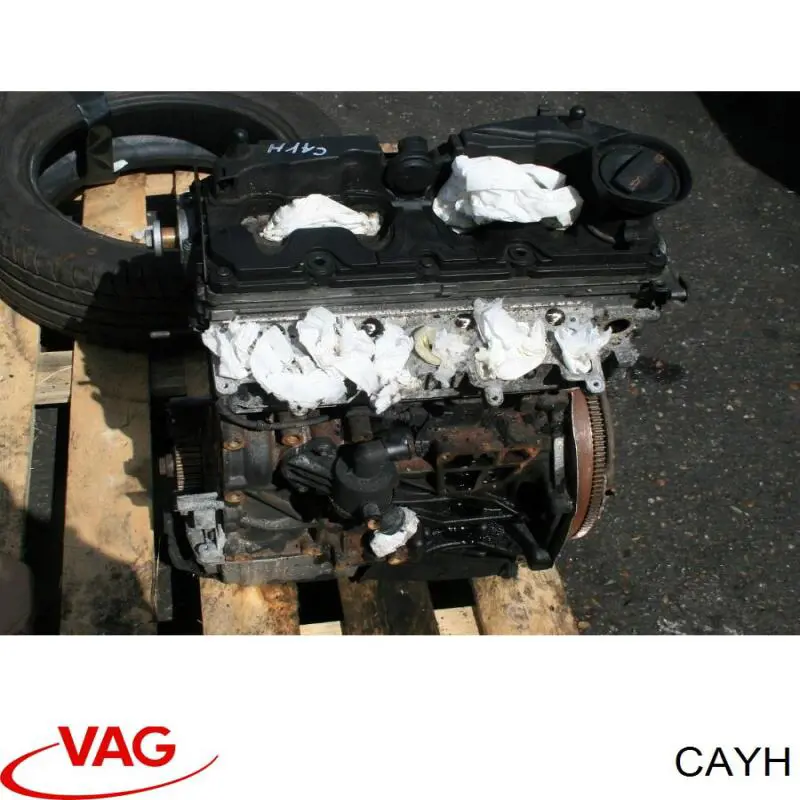 CAYH VAG 