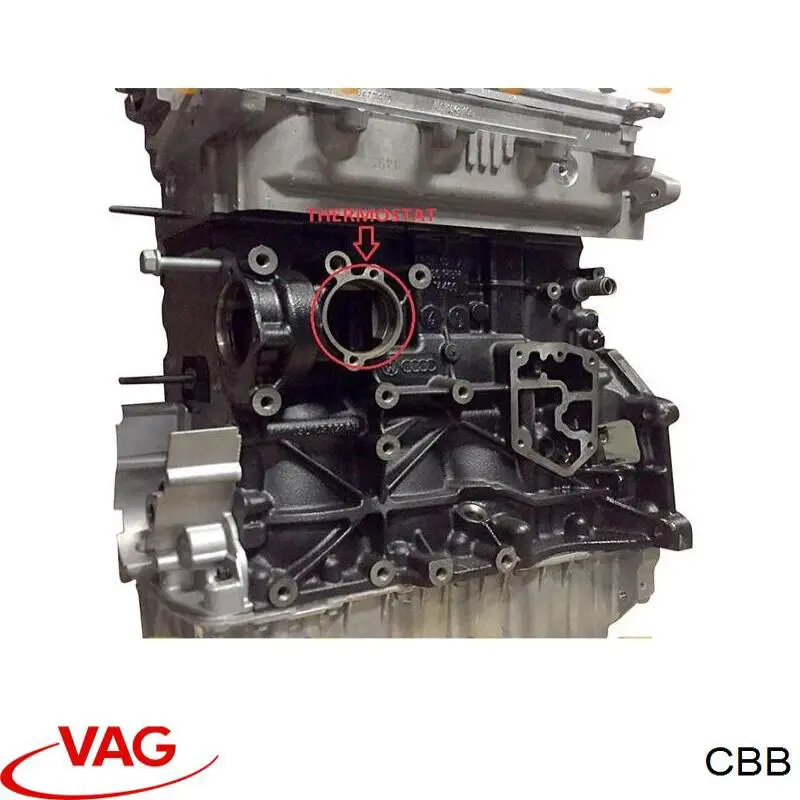 CBB VAG двигатель в сборе