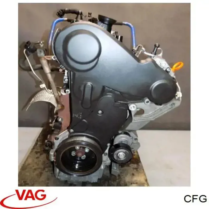 CFG VAG 