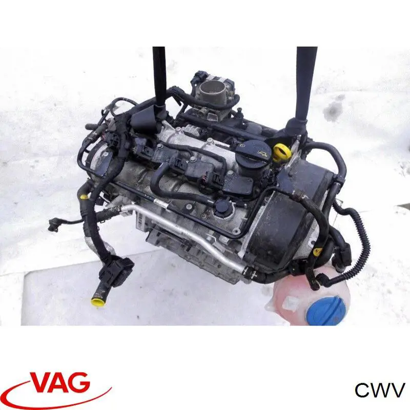  CWV VAG