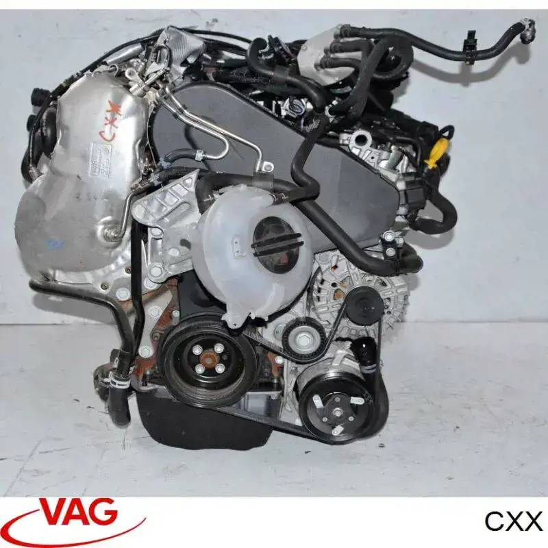 Купить CXX VAG 