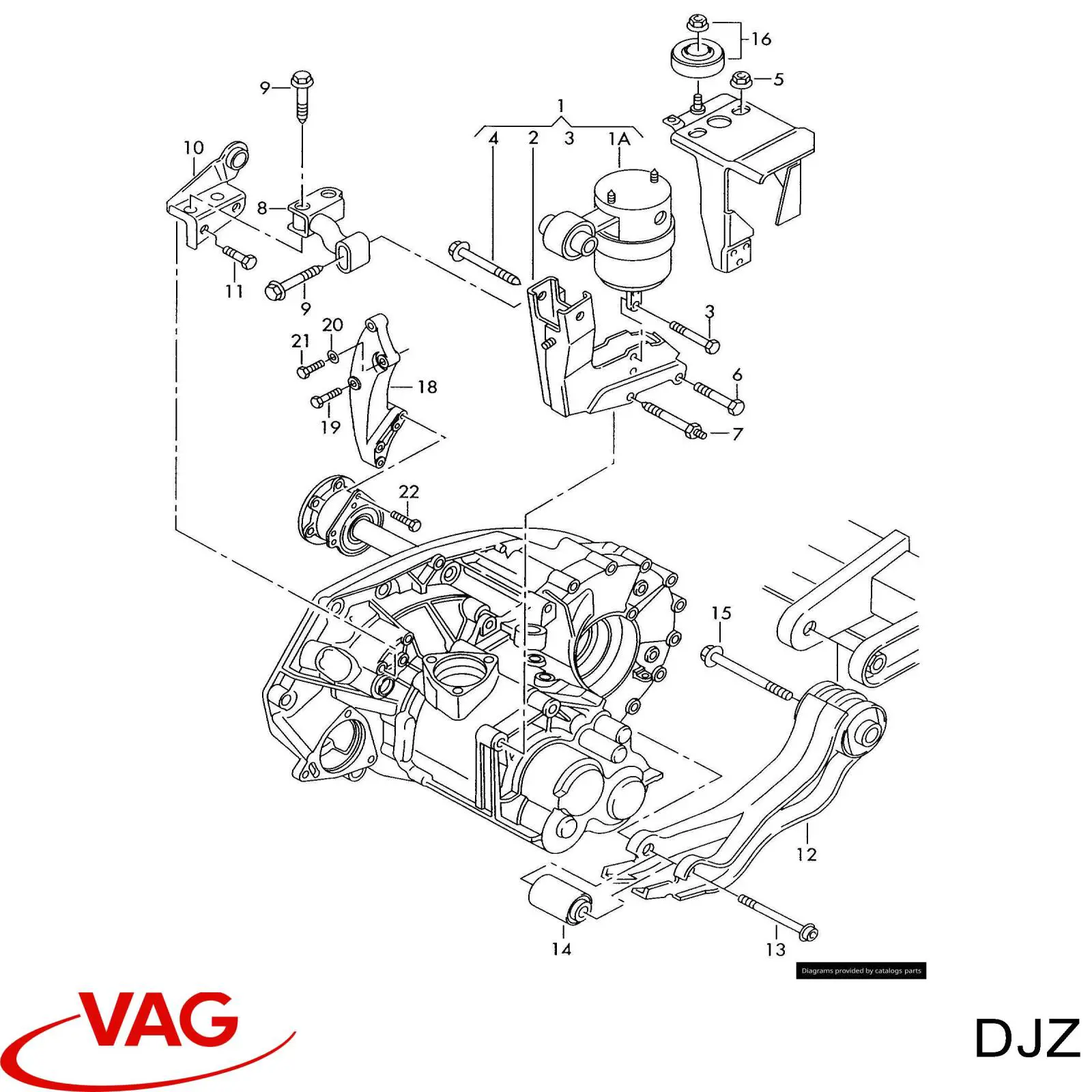  DJZ VAG