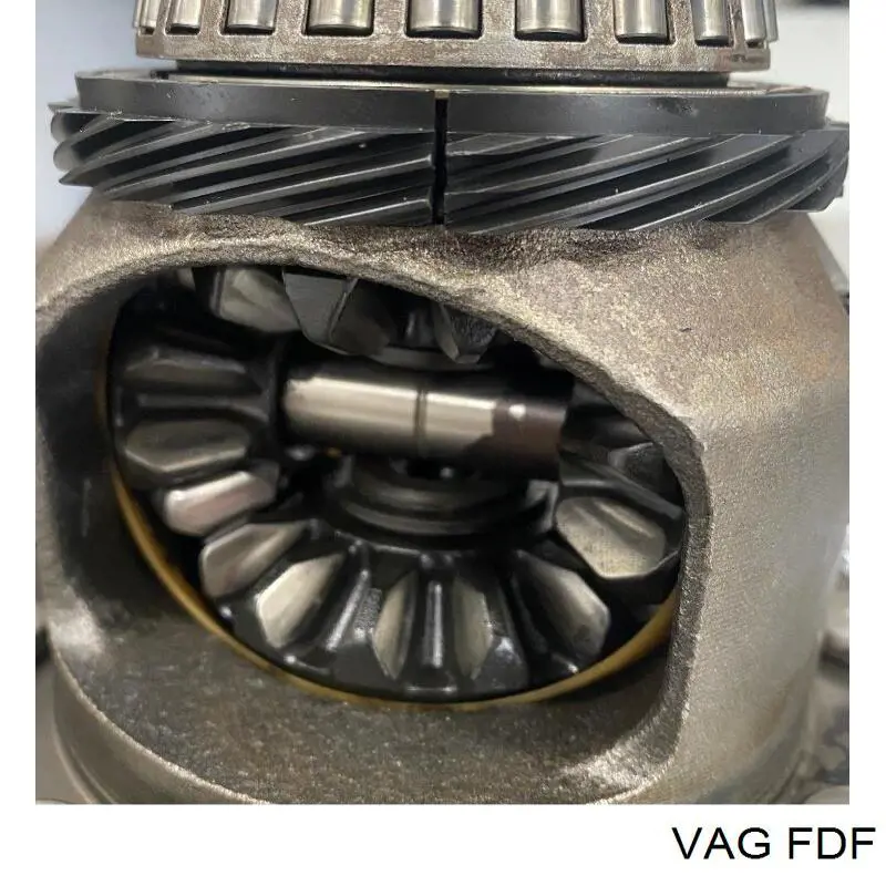  FDF VAG