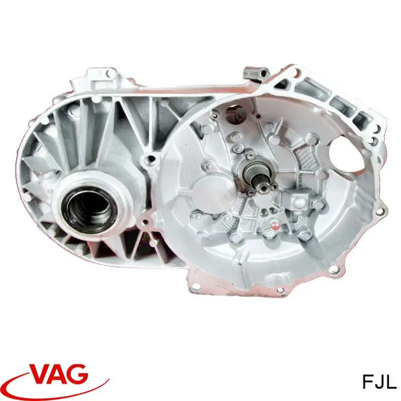 FJL VAG 