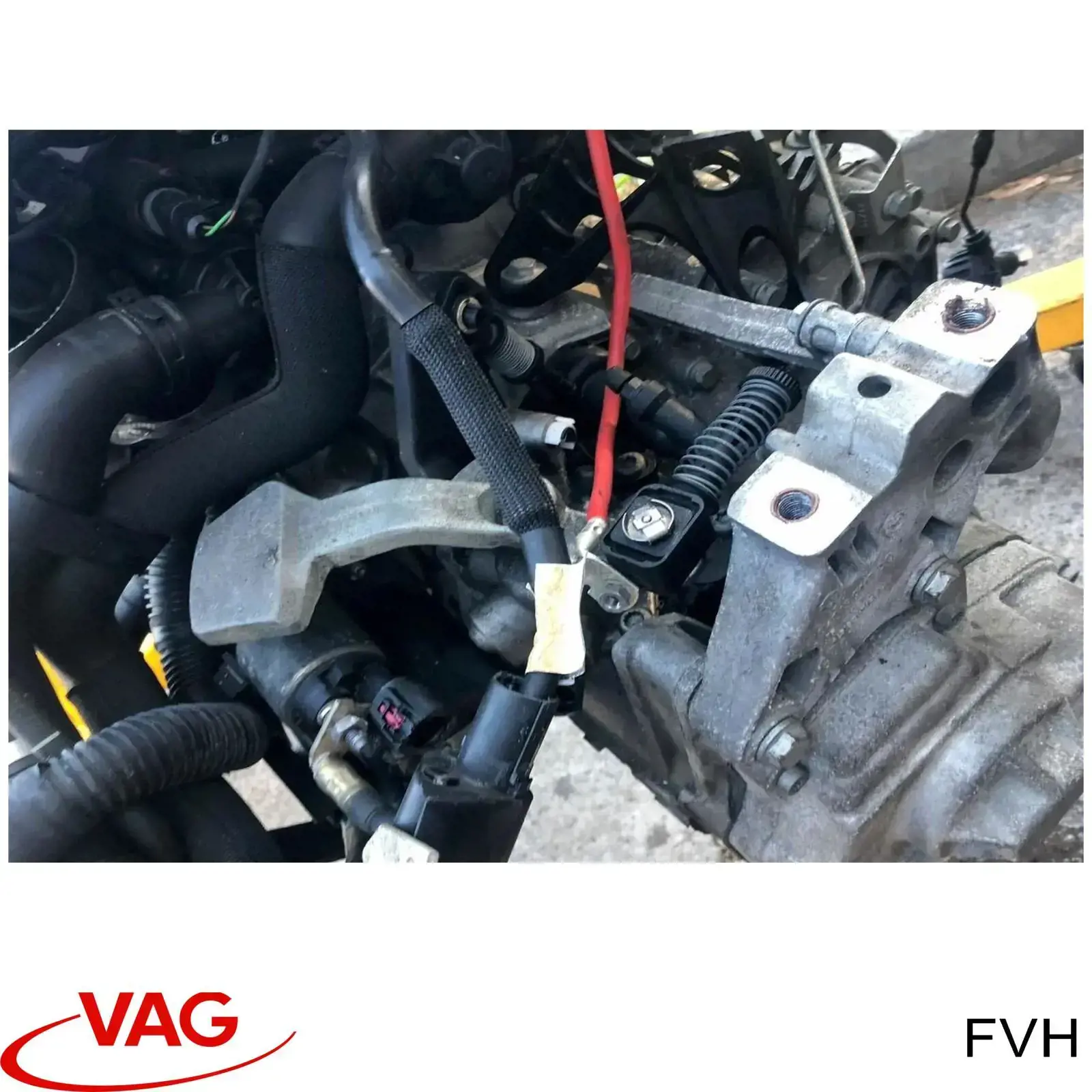 FVH VAG 