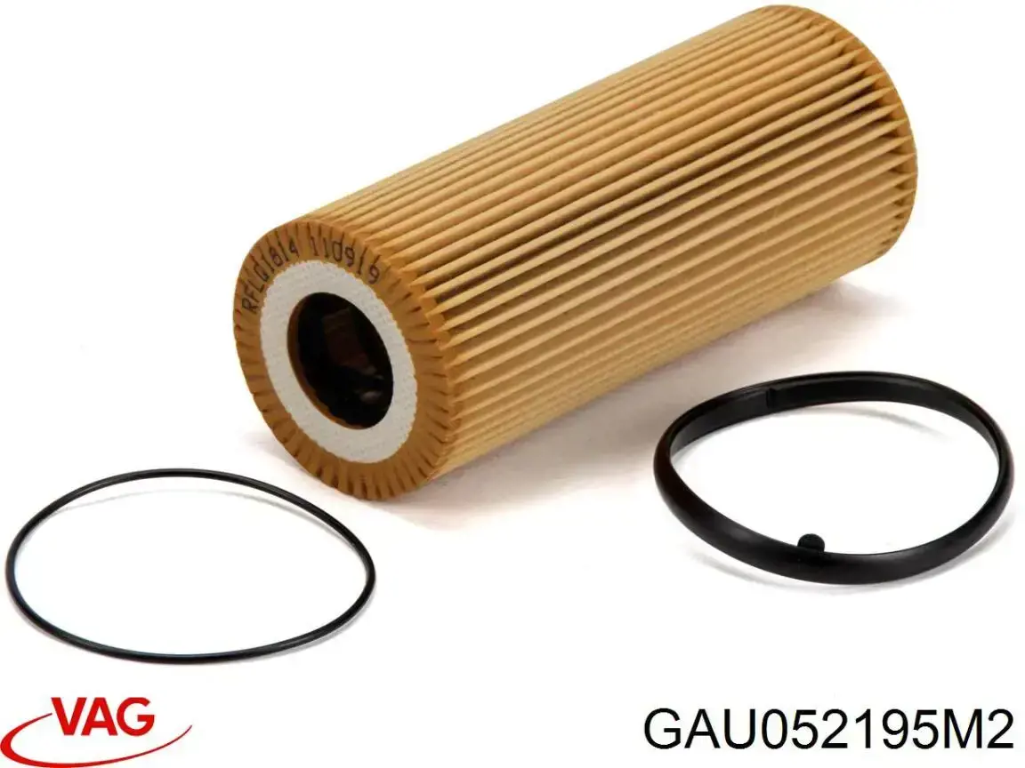 GAU052195M2 VAG Масло двигателя