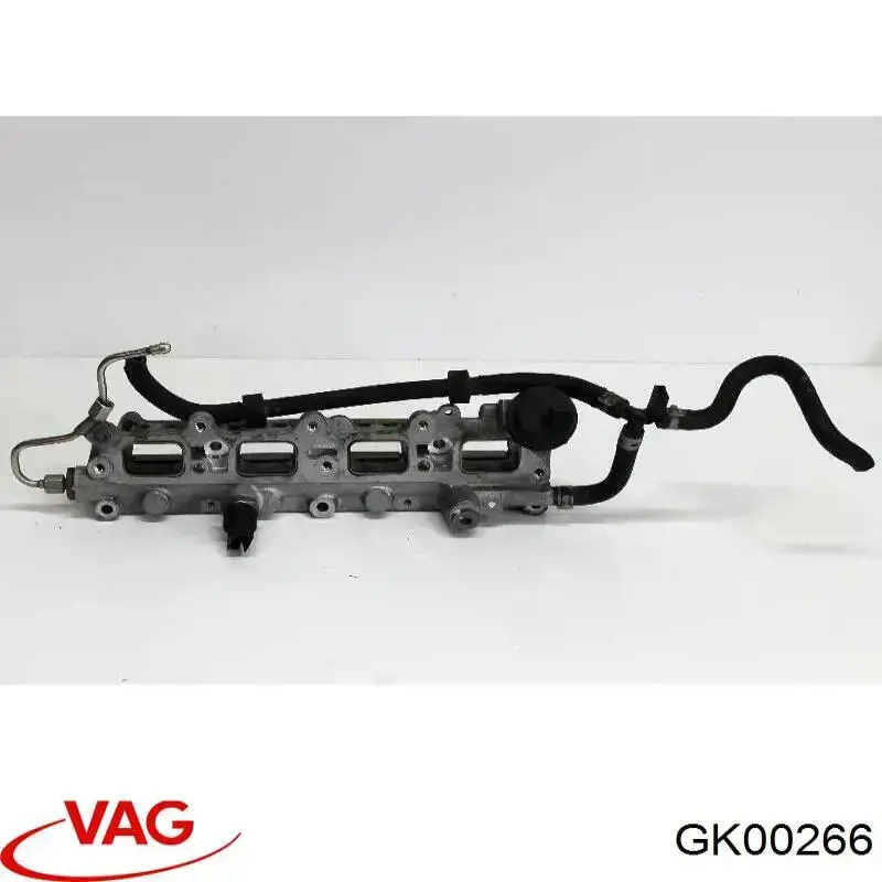 GK00266 VAG 