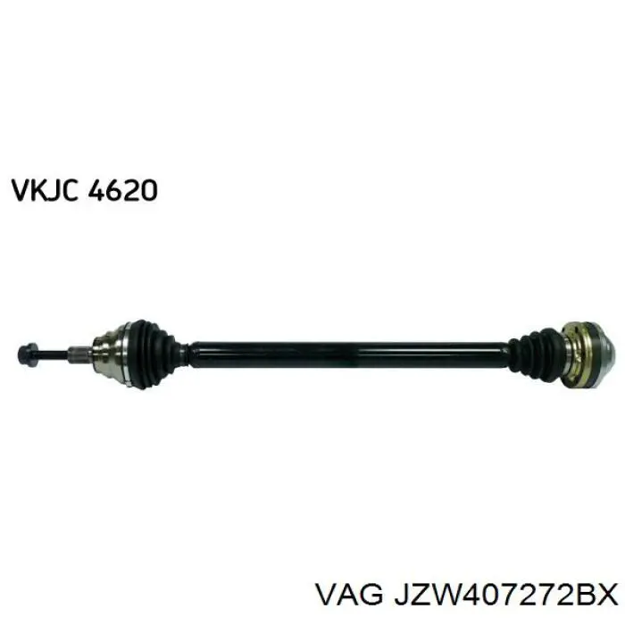 XXJZW407272BX Market (OEM) 