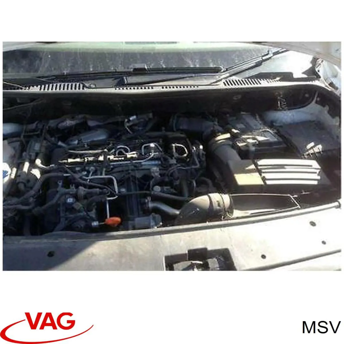 MSV VAG 