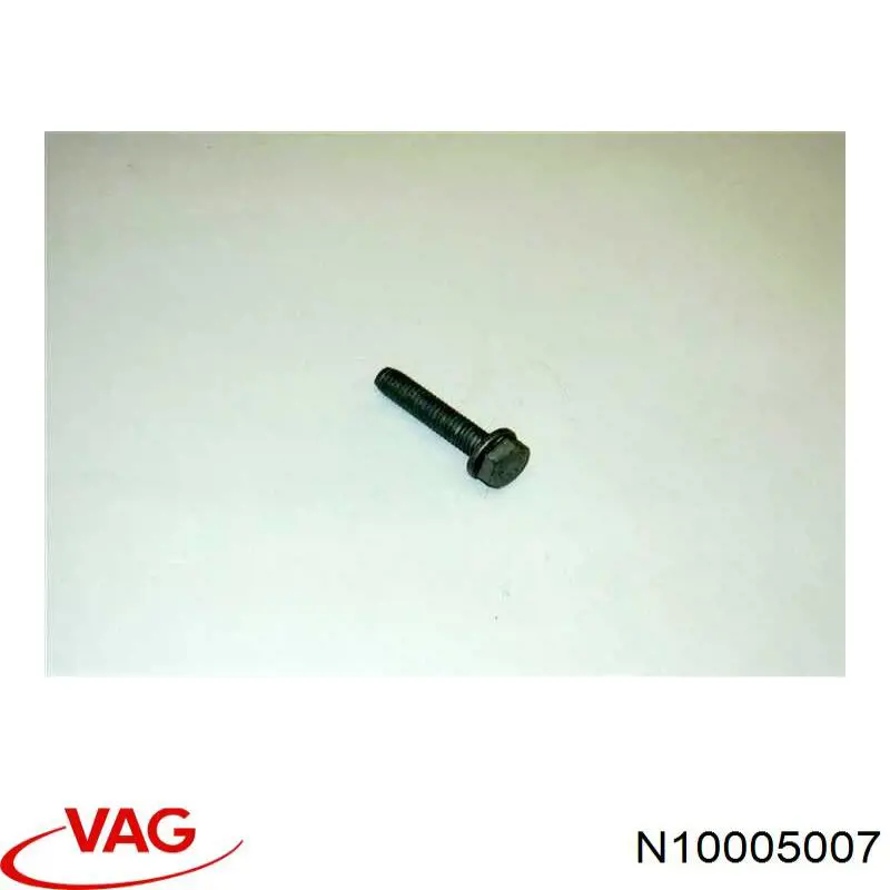  N10005010 VAG