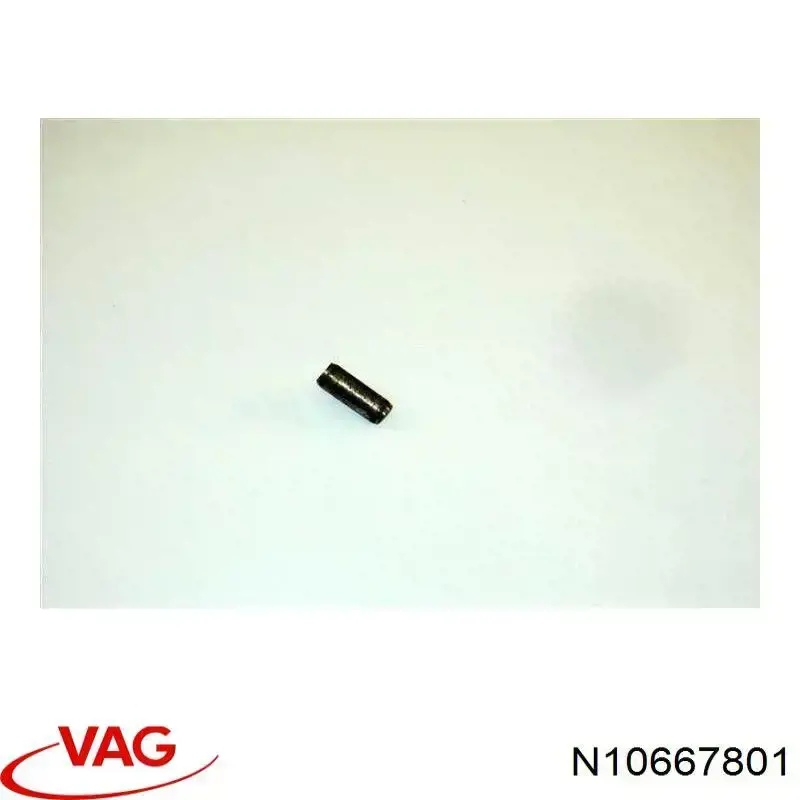  N10667801 VAG