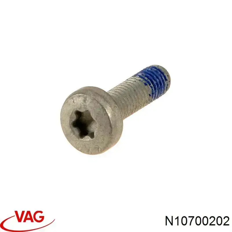 N10700202 VAG 