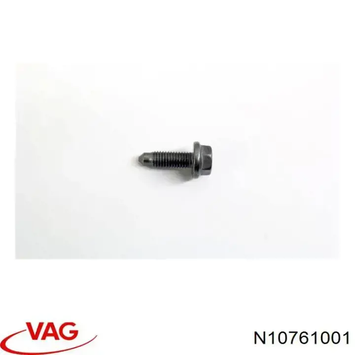  N10761001 VAG