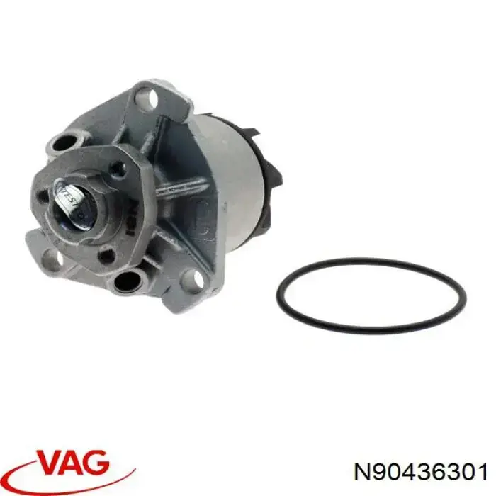 Купить N90436301 VAG Прокладка водяной помпы