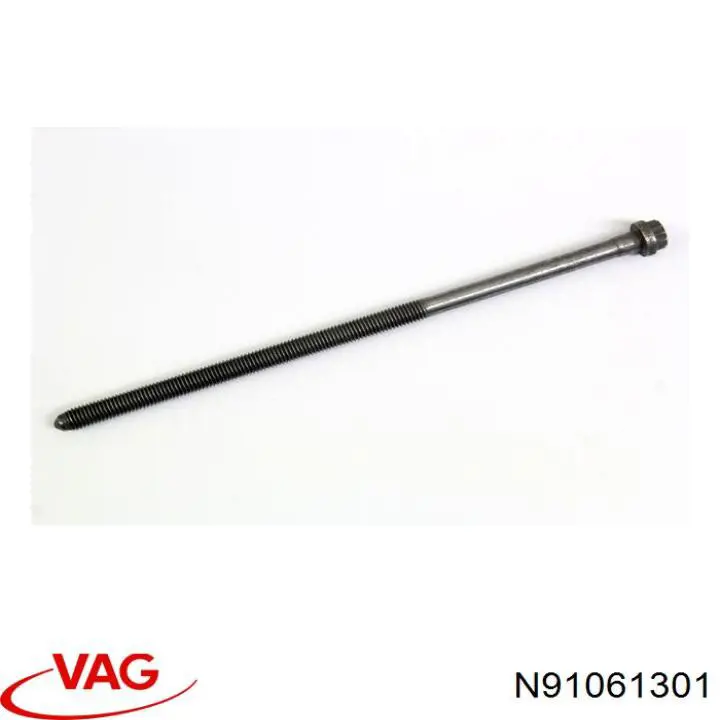  N91061301 VAG