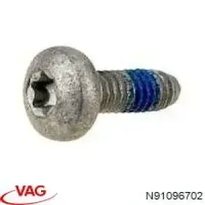 Купить B10646 Borsehung 