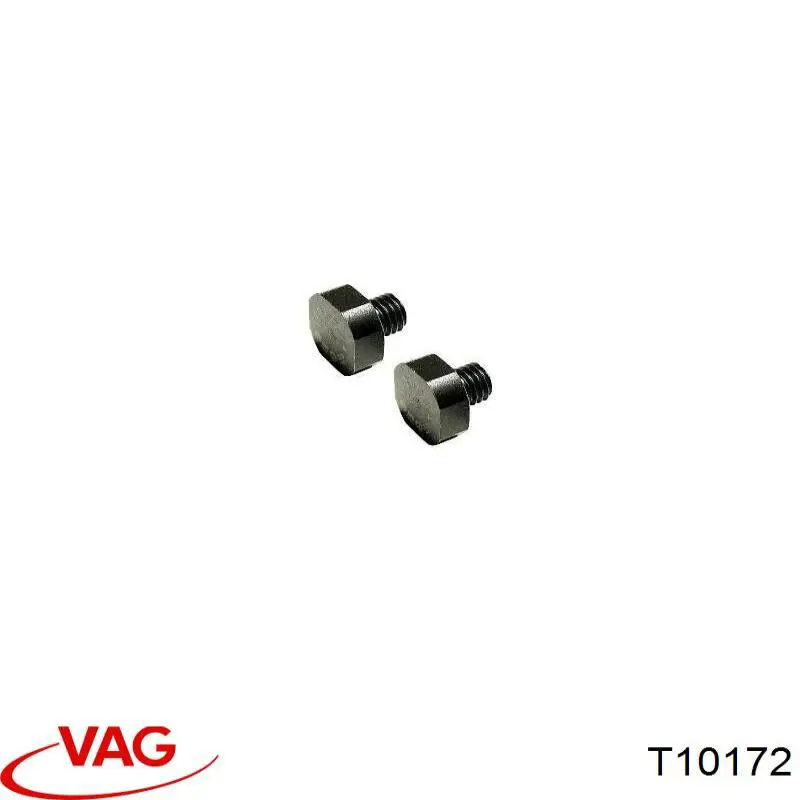  T10172 VAG