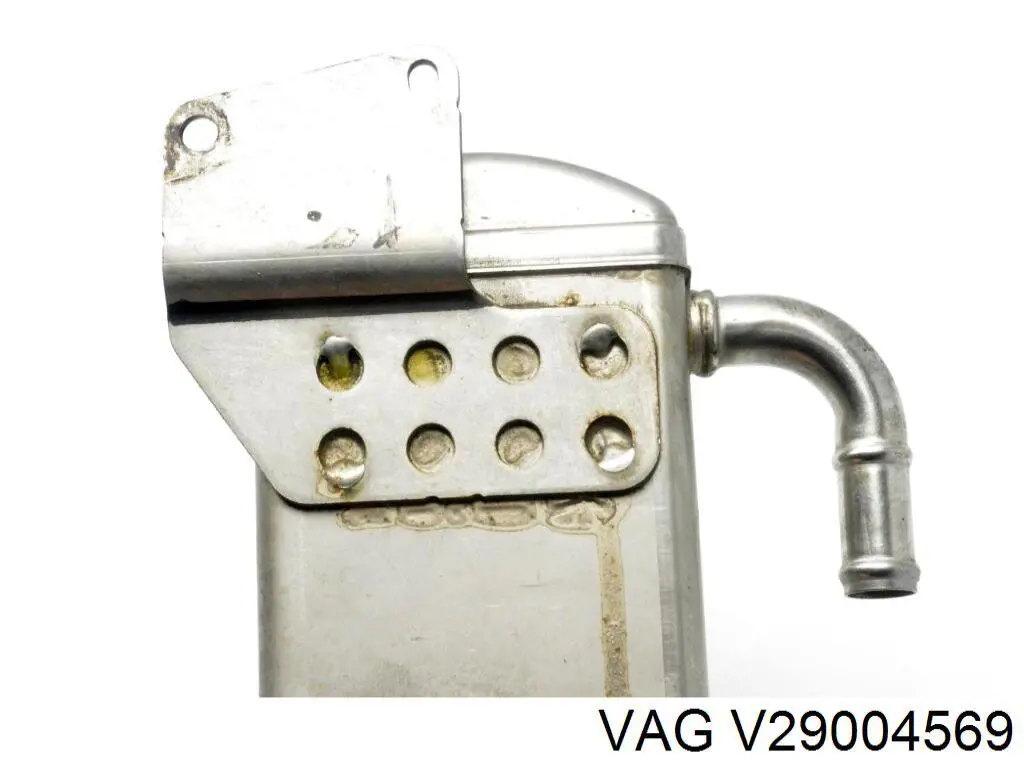 V29004569 VAG 