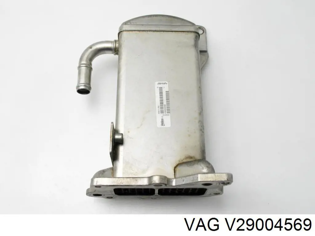  V29004569 VAG