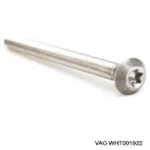 WHT001922 VAG parafuso