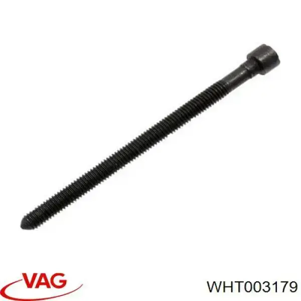 Болт кріплення форсунки WHT003179 VAG/Skoda