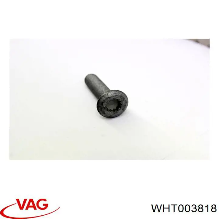  WHT003818 VAG