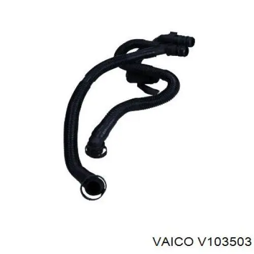 V103503 VEMO/Vaico