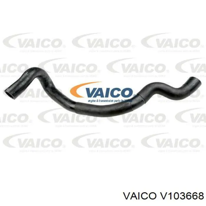  V103668 VEMO/Vaico