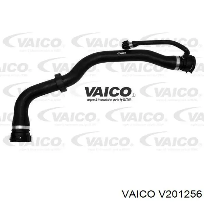 V201256 VEMO/Vaico шланг (патрубок радиатора охлаждения верхний)