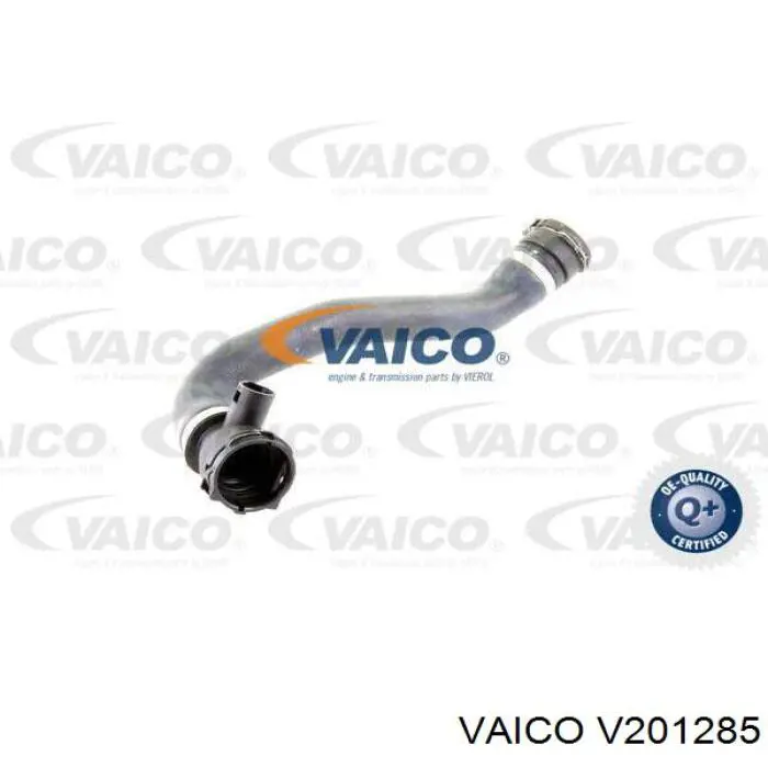 V201285 VEMO/Vaico шланг (патрубок радиатора охлаждения нижний)
