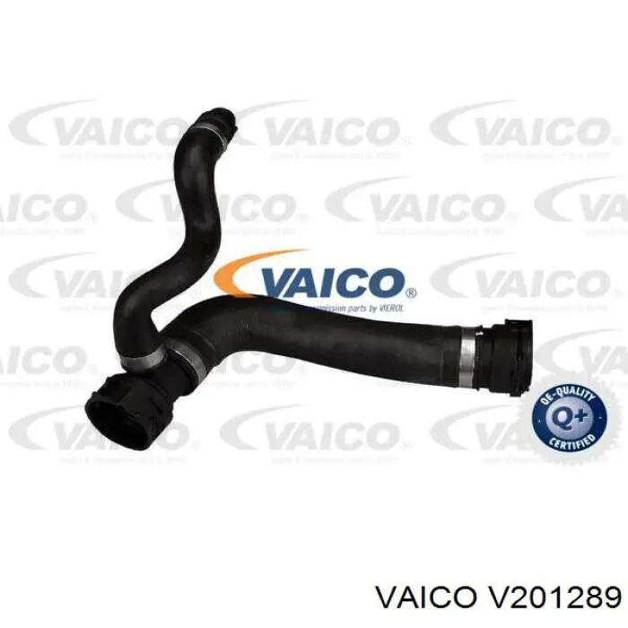 V201289 VEMO/Vaico шланг (патрубок радиатора охлаждения верхний)