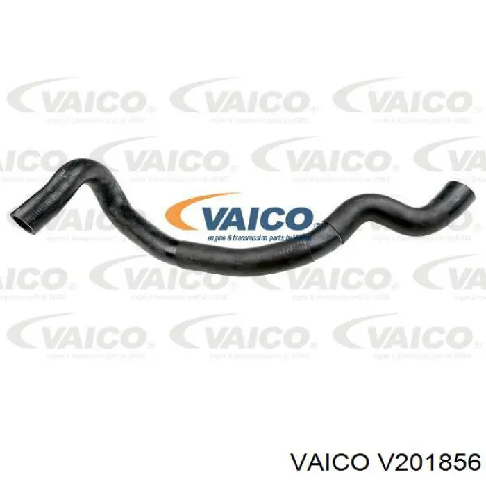 V201856 VEMO/Vaico