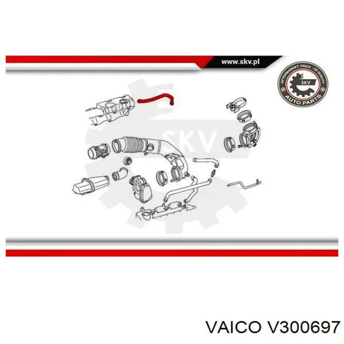 V300697 VEMO/Vaico патрубок вентиляции картера (маслоотделителя)
