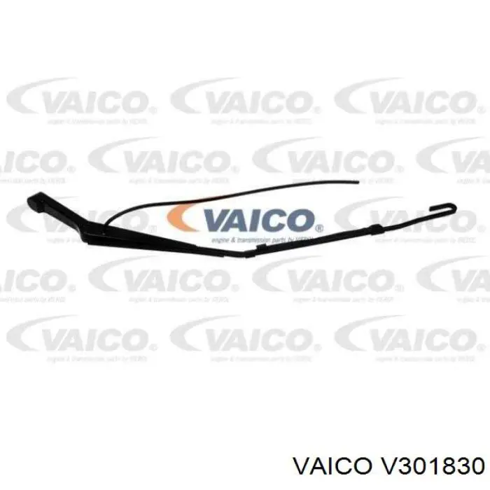 V301830 VEMO/Vaico