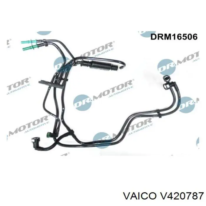 Купить 00001574T5 Peugeot/Citroen Трубопроводы топливные