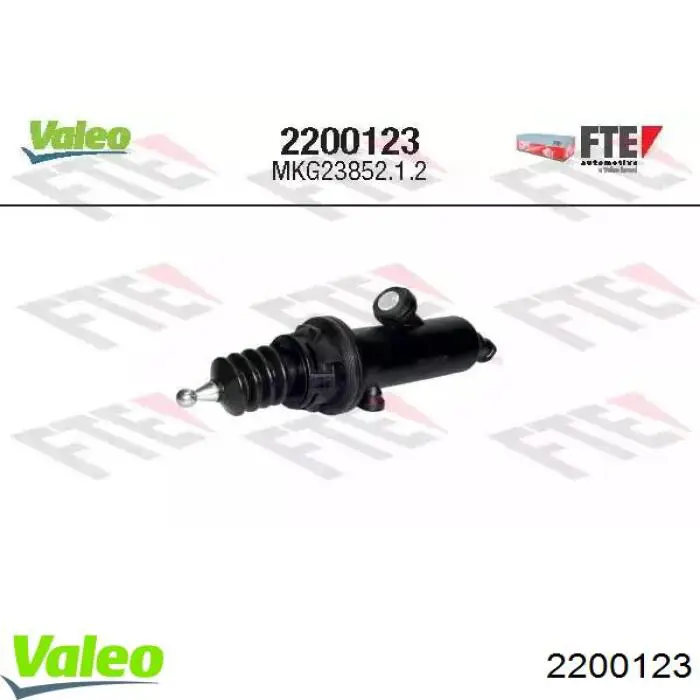  2200123 VALEO