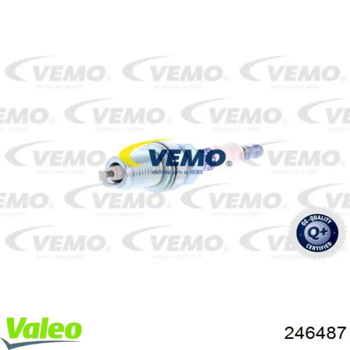 10099079 MG CHINA Bujía original y equivalente