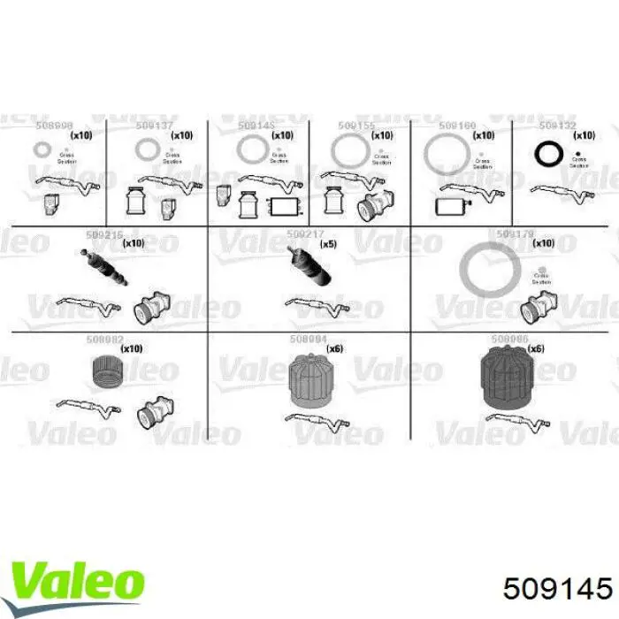  509145 VALEO
