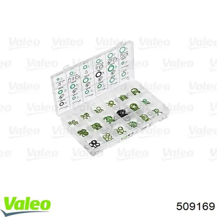  509169 VALEO