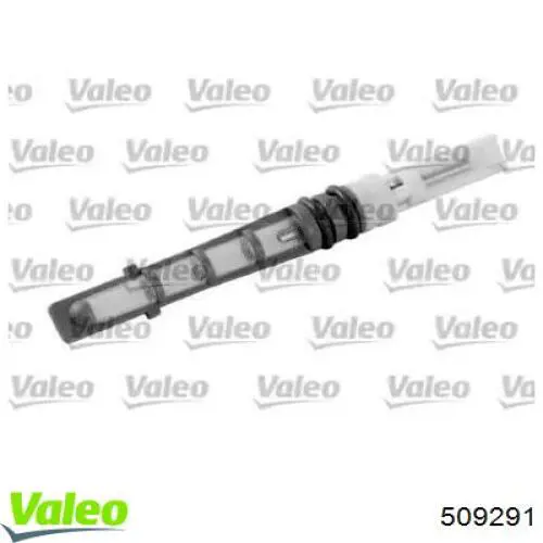  509291 VALEO