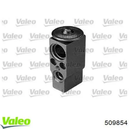  509854 VALEO