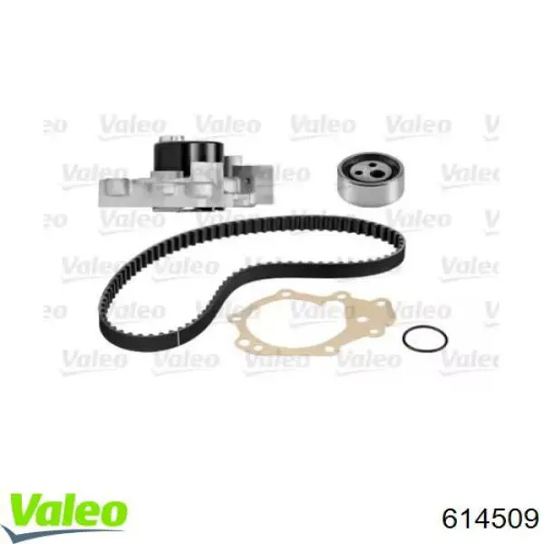 Купить CT915WP1 Continental/Siemens Комплект ГРМ