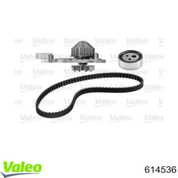 ГРМ ремни, комплект Renault (RVI) 8671019663 цена, от 32.15 USD