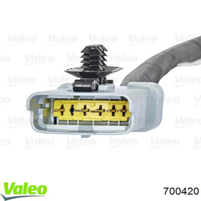 Клапан EGR, рециркуляции газов VALEO 700420